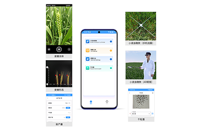 四川小麦亩穗数分析仪IN-XM02